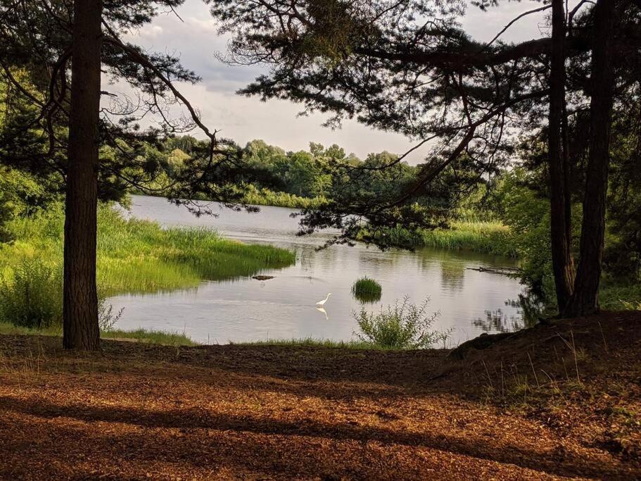 Gaujaupe Villa Gauja  Kültér fotó